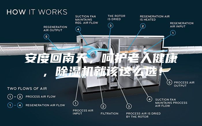 安度回南天，呵護老人健康，除濕機就該這么選！