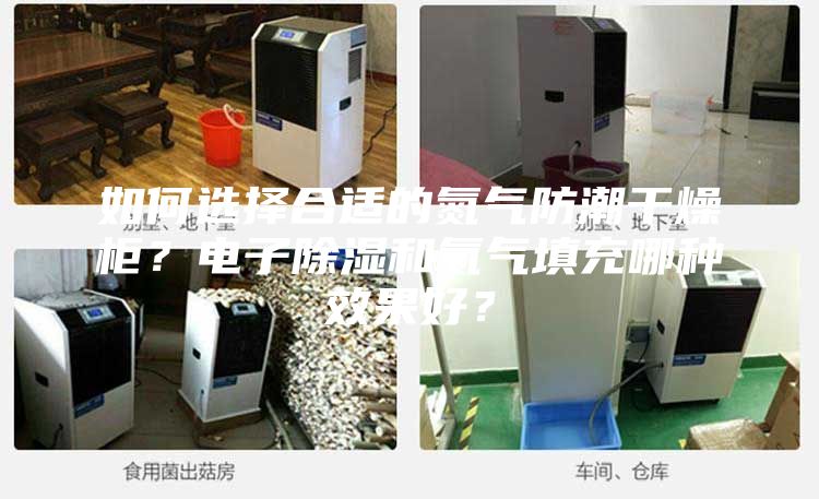 如何選擇合適的氮?dú)夥莱备稍锕?？電子除濕和氮?dú)馓畛淠姆N效果好？