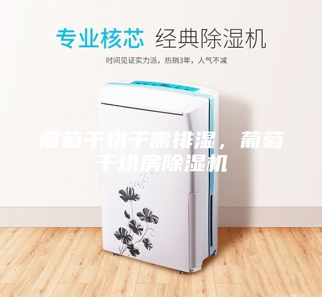 葡萄干烘干需排濕，葡萄干烘房除濕機(jī)