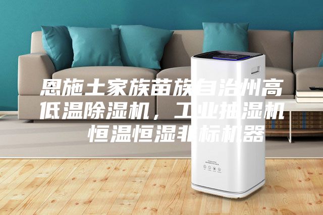 恩施土家族苗族自治州高低溫除濕機(jī)，工業(yè)抽濕機(jī)  恒溫恒濕非標(biāo)機(jī)器