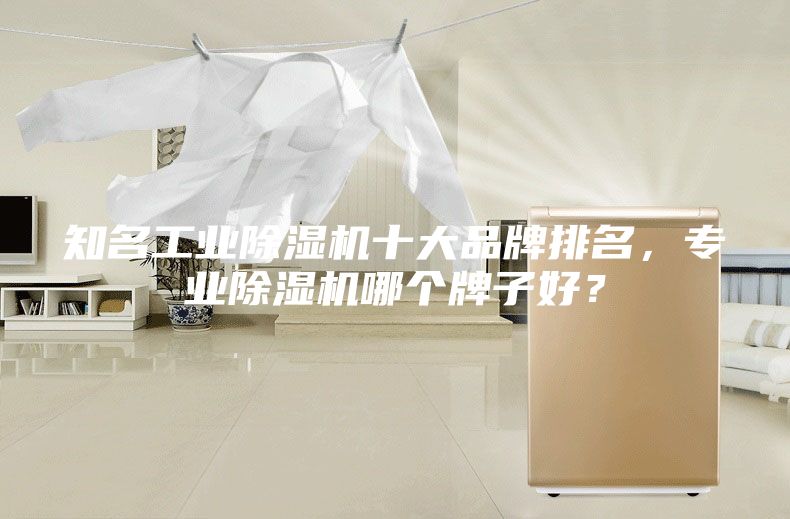 知名工業(yè)除濕機十大品牌排名，專業(yè)除濕機哪個牌子好？