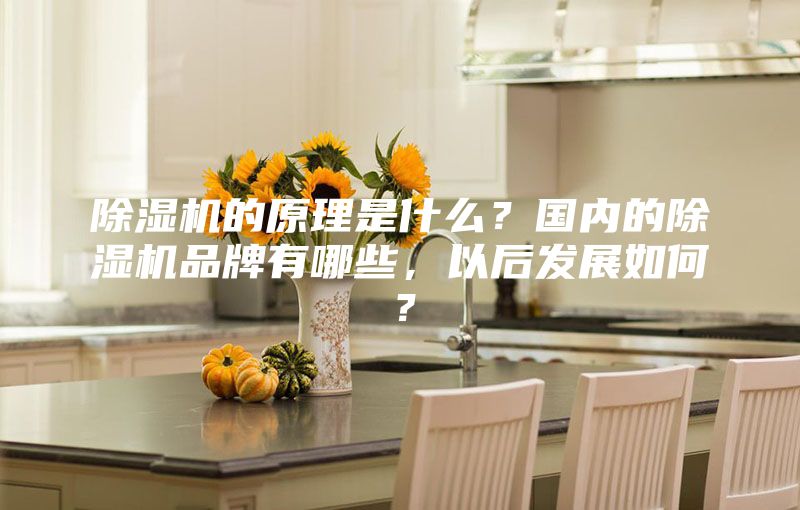 除濕機的原理是什么？國內(nèi)的除濕機品牌有哪些，以后發(fā)展如何？