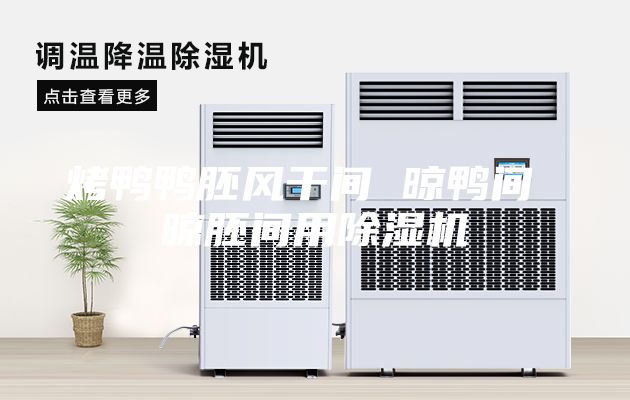 烤鴨鴨胚風(fēng)干間 晾鴨間 晾胚間用除濕機(jī)
