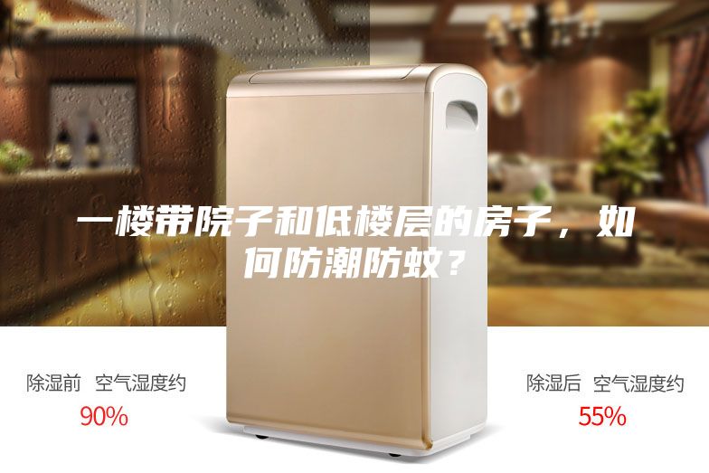 一樓帶院子和低樓層的房子，如何防潮防蚊？