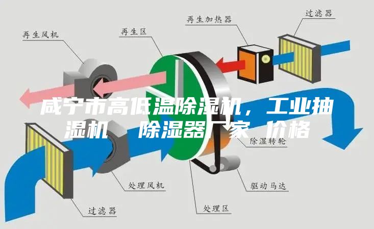 咸寧市高低溫除濕機，工業(yè)抽濕機  除濕器廠家 價格