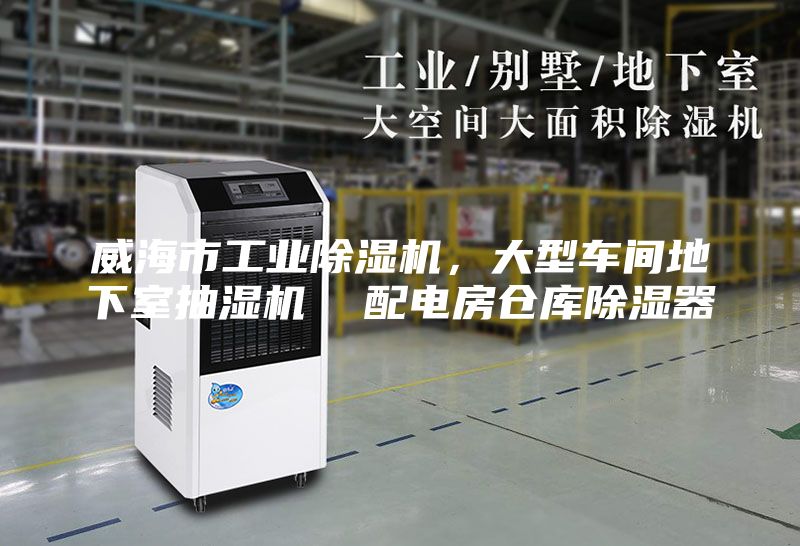 威海市工業(yè)除濕機(jī)，大型車(chē)間地下室抽濕機(jī)  配電房倉(cāng)庫(kù)除濕器