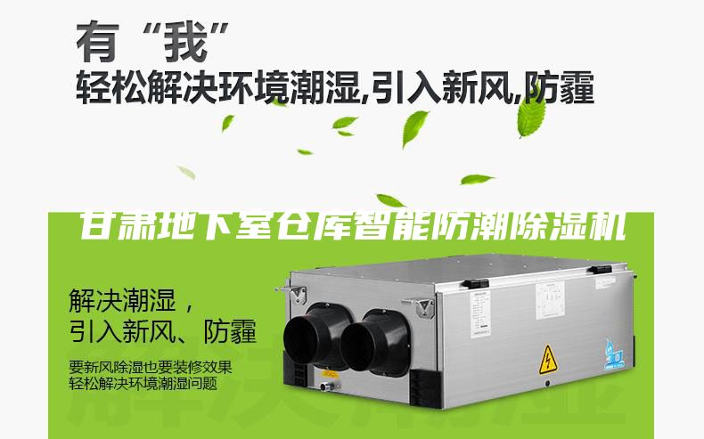 甘肅地下室倉(cāng)庫(kù)智能防潮除濕機(jī)