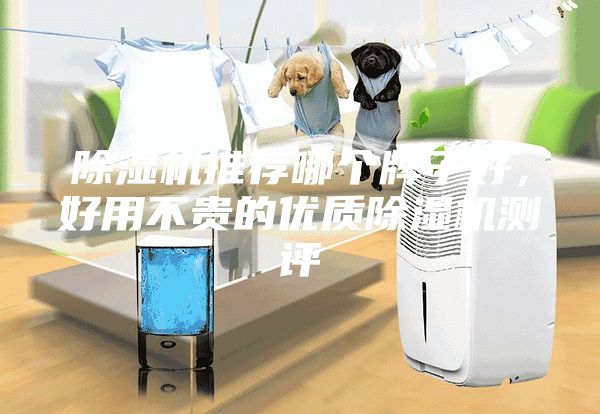 除濕機(jī)推薦哪個牌子好，好用不貴的優(yōu)質(zhì)除濕機(jī)測評