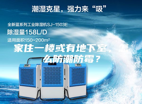 家住一樓或有地下室，怎么防潮防霉？
