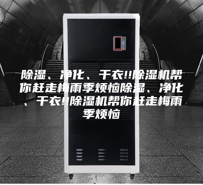 除濕、凈化、干衣!!除濕機幫你趕走梅雨季煩惱除濕、凈化、干衣!!除濕機幫你趕走梅雨季煩惱