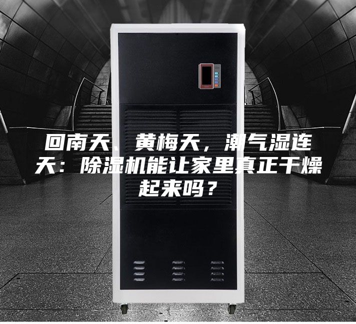 回南天、黃梅天，潮氣濕連天：除濕機(jī)能讓家里真正干燥起來嗎？