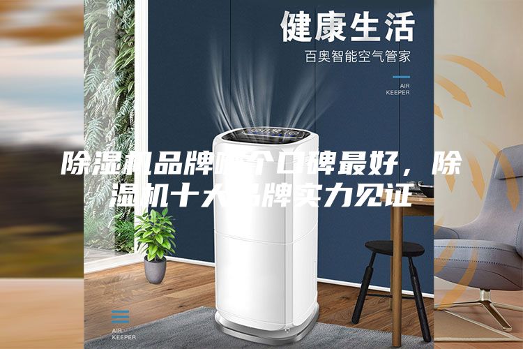 除濕機品牌哪個口碑最好，除濕機十大品牌實力見證