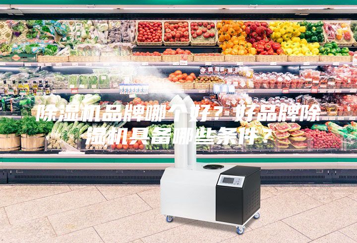 除濕機(jī)品牌哪個(gè)好？好品牌除濕機(jī)具備哪些條件？
