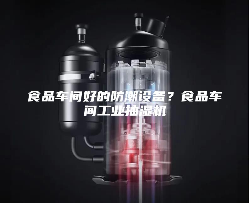食品車(chē)間好的防潮設(shè)備？食品車(chē)間工業(yè)抽濕機(jī)