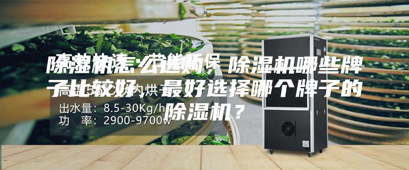 除濕機(jī)怎么選購(gòu)，除濕機(jī)哪些牌子比較好，最好選擇哪個(gè)牌子的除濕機(jī)？