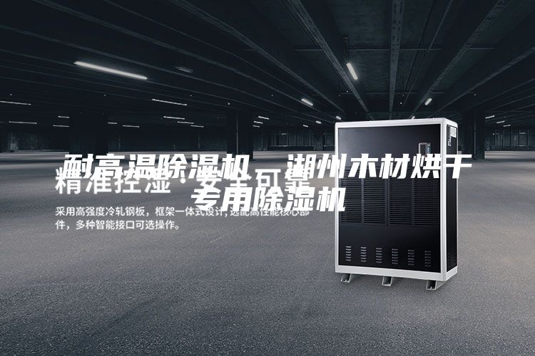 耐高溫除濕機(jī)，湖州木材烘干專(zhuān)用除濕機(jī)