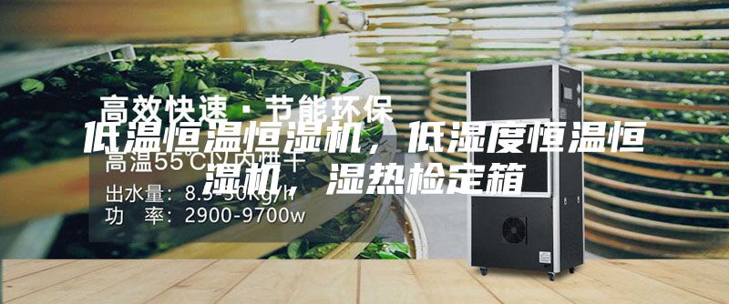 低溫恒溫恒濕機，低濕度恒溫恒濕機，濕熱檢定箱