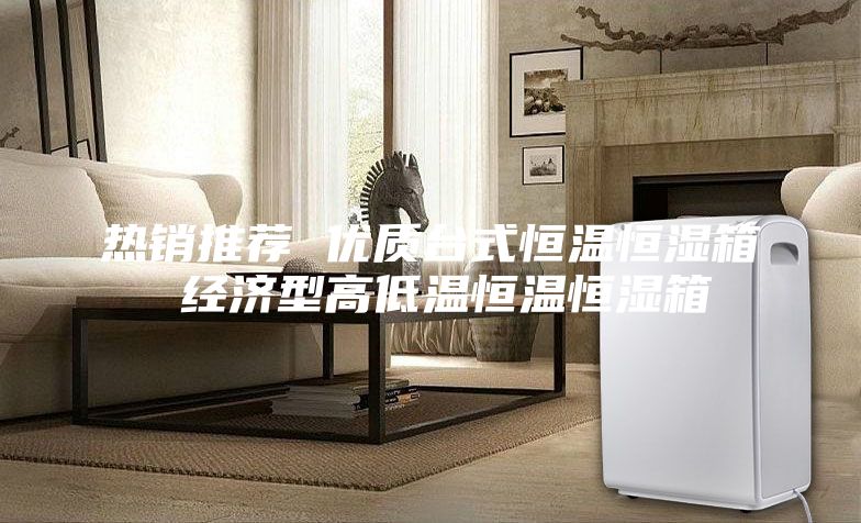 熱銷推薦 優(yōu)質(zhì)臺式恒溫恒濕箱 經(jīng)濟型高低溫恒溫恒濕箱