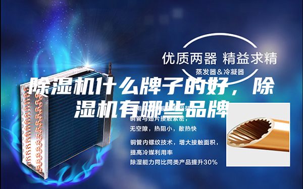 除濕機(jī)什么牌子的好，除濕機(jī)有哪些品牌
