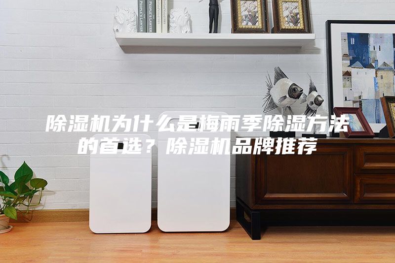 除濕機為什么是梅雨季除濕方法的首選？除濕機品牌推薦