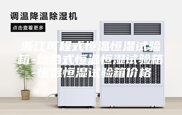 浙江可程式恒溫恒濕試驗(yàn)箱-復(fù)合式恒溫恒濕試驗(yàn)箱-恒溫恒濕試驗(yàn)箱價格