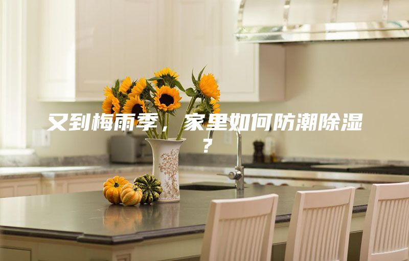 又到梅雨季，家里如何防潮除濕？