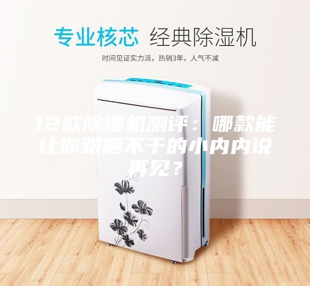 12款除濕機測評：哪款能讓你跟曬不干的小內(nèi)內(nèi)說再見？