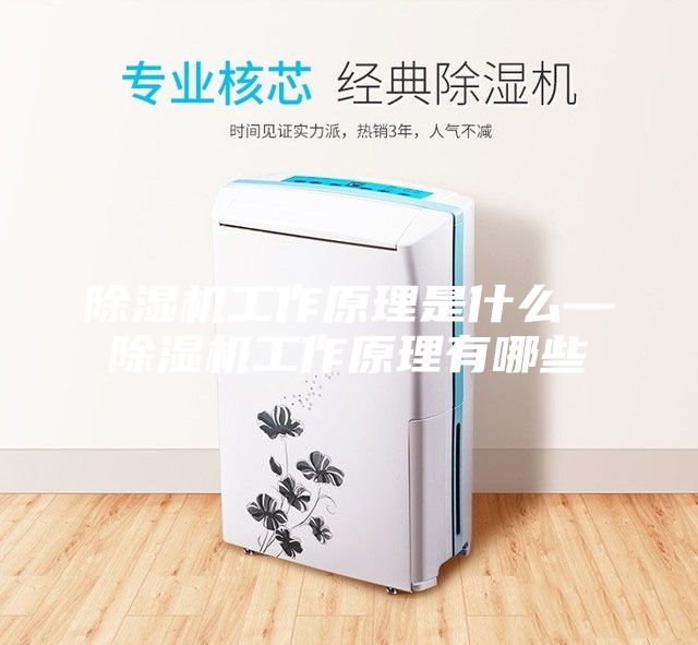 除濕機工作原理是什么—除濕機工作原理有哪些