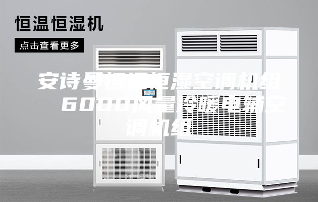 安詩曼恒溫恒濕空調(diào)機組  6000風量冷暖電輔空調(diào)機組