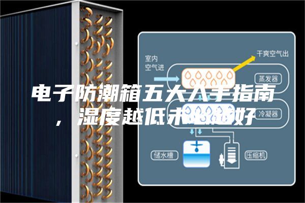電子防潮箱五大入手指南，濕度越低未必越好