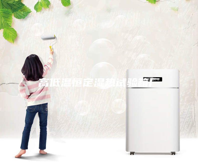 高低溫恒定濕熱試驗(yàn)箱廠