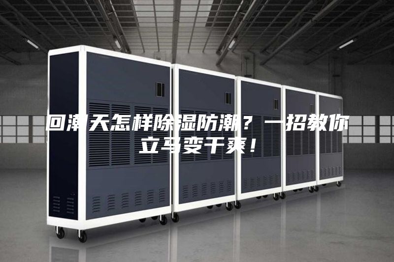 回潮天怎樣除濕防潮？一招教你立馬變干爽！