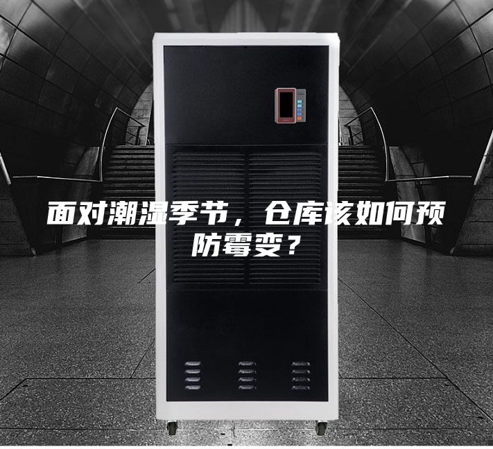 面對潮濕季節(jié)，倉庫該如何預防霉變？