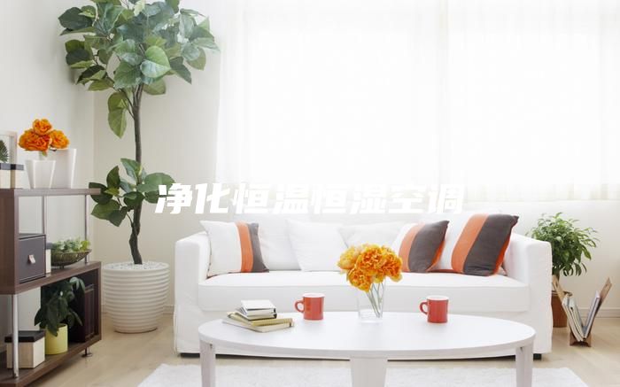 凈化恒溫恒濕空調(diào)